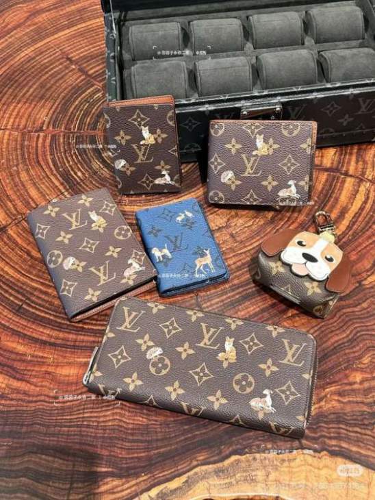 Picture of Louis Vuitton Wallets _SKUfw218628718fw